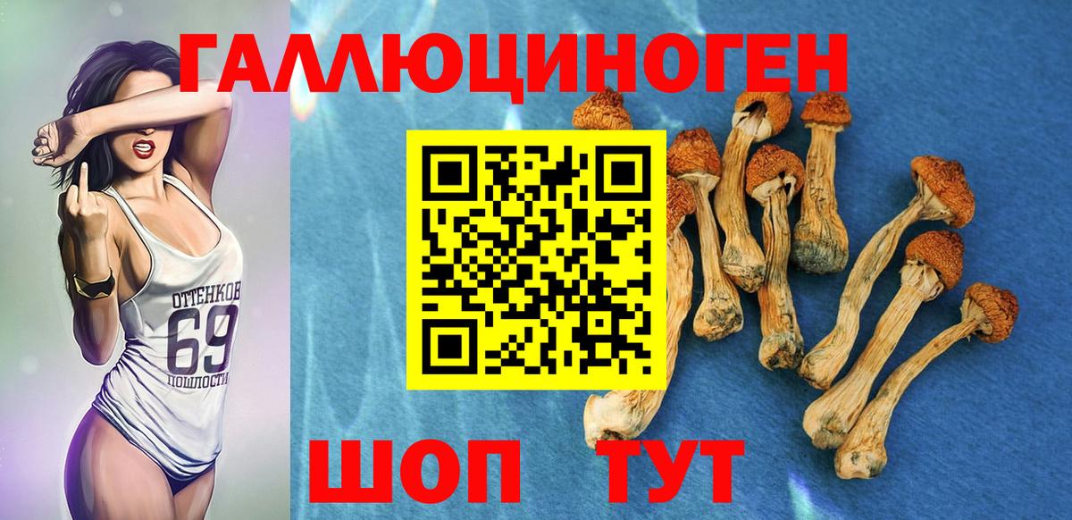 Галлюциногенные грибы GOLDEN TEACHER  Галлюциногенные грибы Magic Shrooms  Вход с VPN  Шумерля 